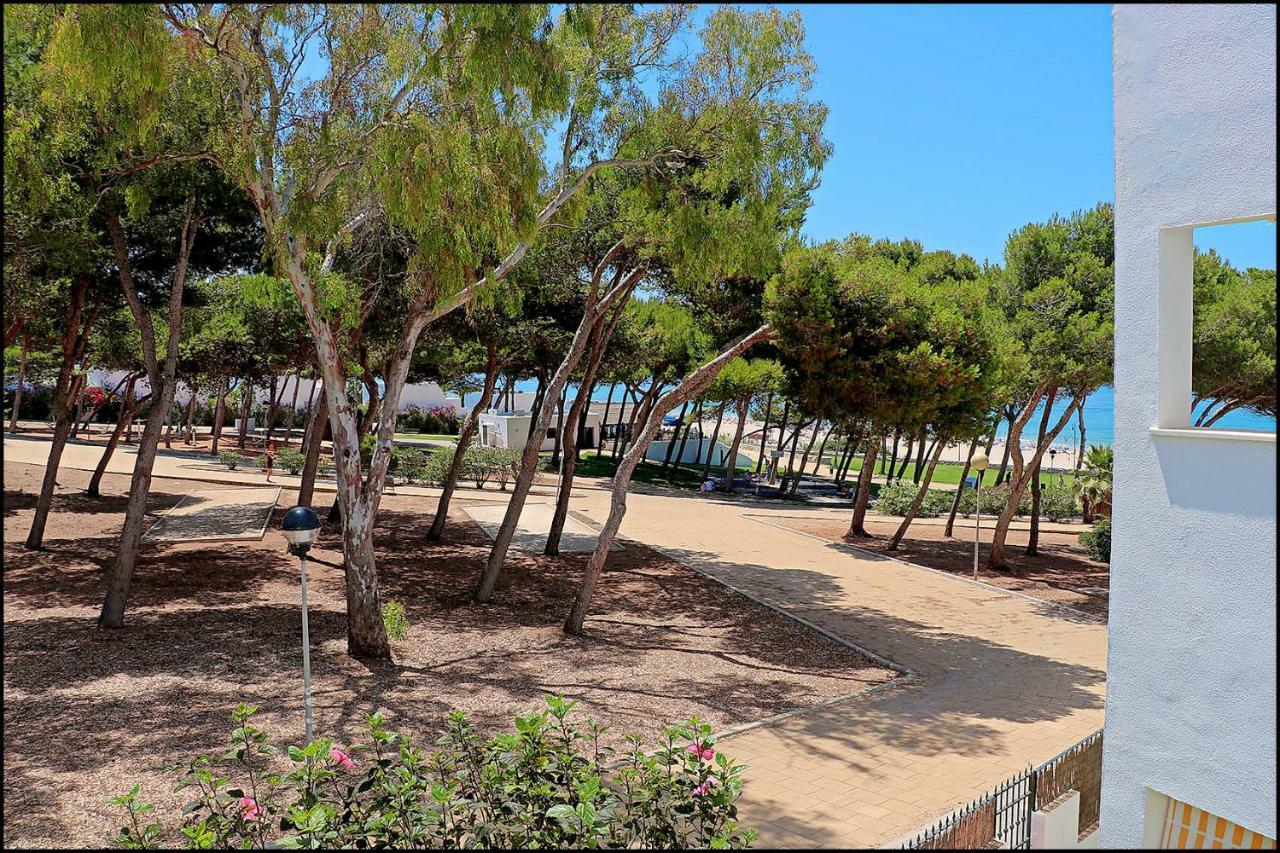 Apartamento Parque La Atalaya Conil De La Frontera Buitenkant foto